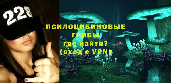 крисы Горнозаводск