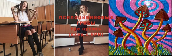 крисы Горнозаводск