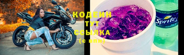 СК Горняк